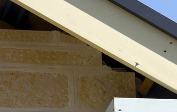 soffit repair Meadows