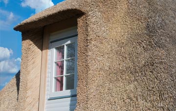 Meadows thatch roof disadvantages